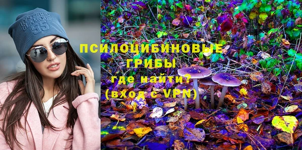 молекула духа Зеленодольск