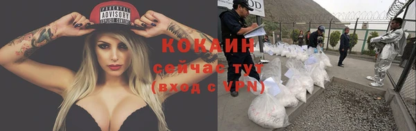 СК Зерноград