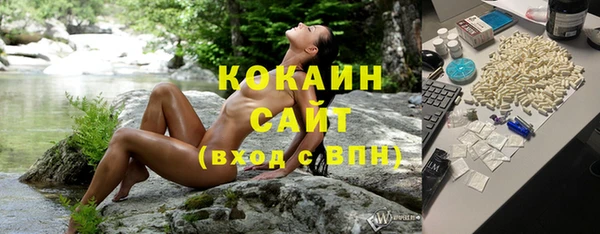 СК Зерноград
