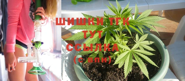 молекула духа Зеленодольск