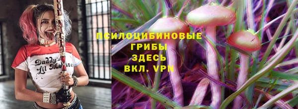прущие крисы Зеленокумск
