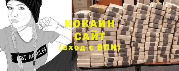 СК Зерноград