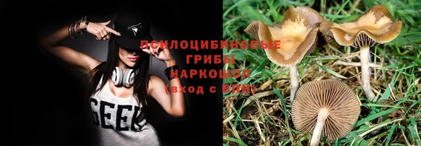молекула духа Зеленодольск